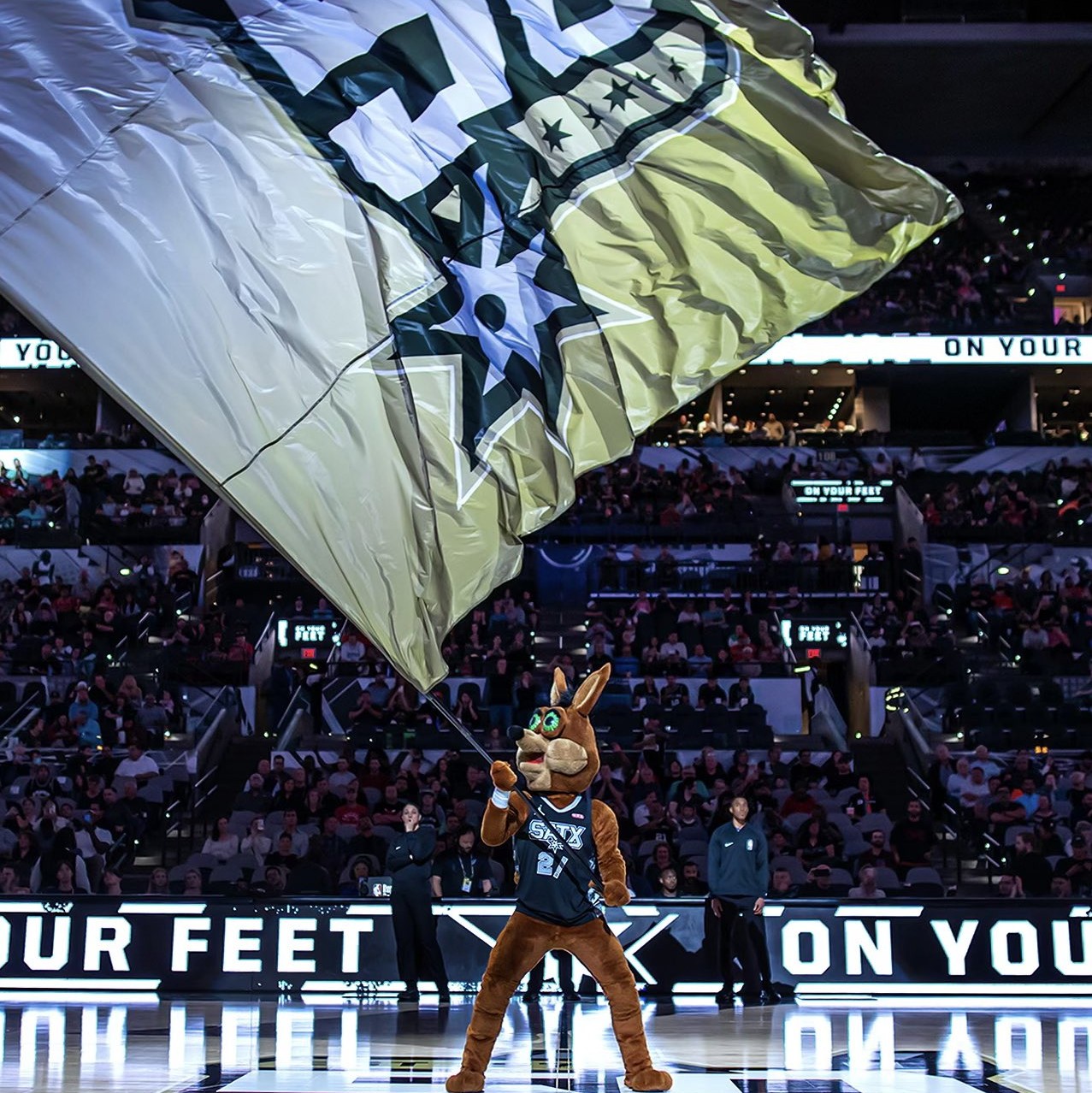 更为整个赛 更为整个赛